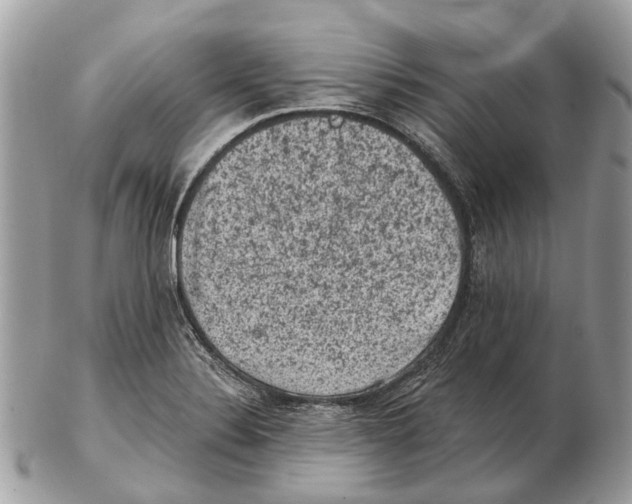 X0000102461324200809051301