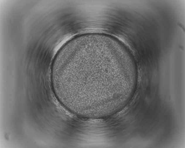X0000102461325200809051301