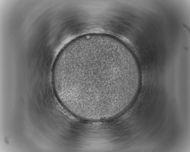 X0000102461326200809051301