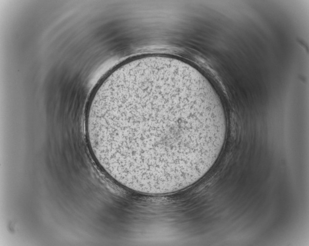 X0000102461328200809051301