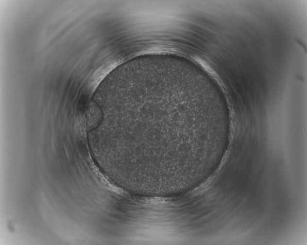 X0000102461329200809051301