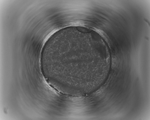 X0000102461331200809051301