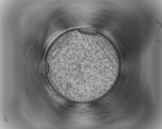 X0000102461332200809051301