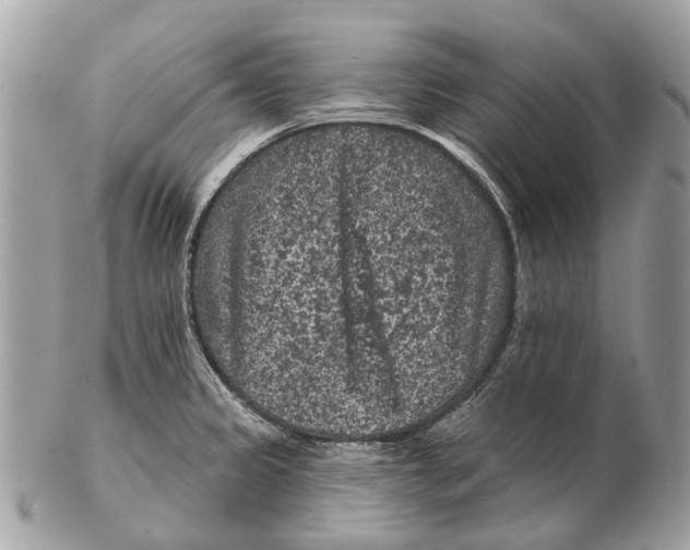 X0000102461333200809051301