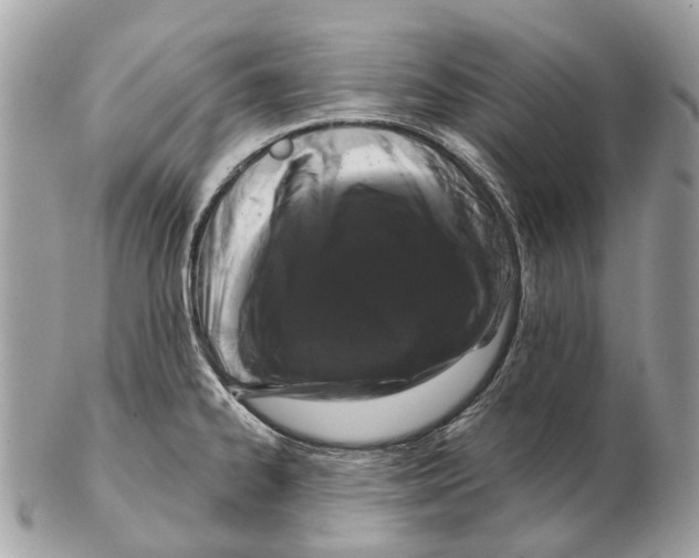 X0000102461334200809051301