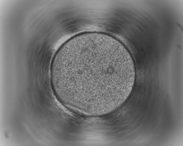 X0000102461335200809051301