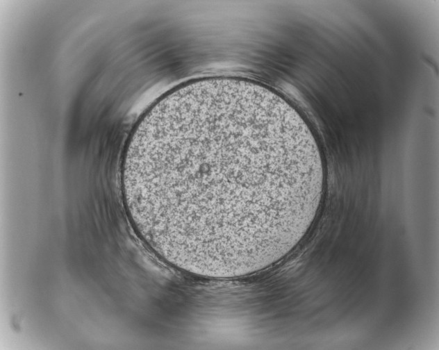 X0000102461336200809051301