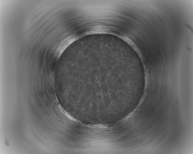 X0000102461337200809051301