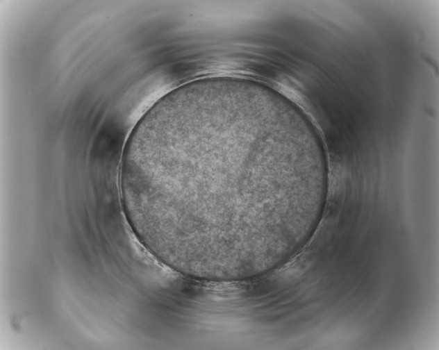 X0000102461338200809051301