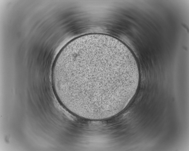 X0000102461339200809051301