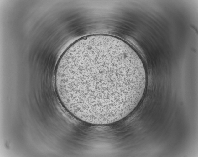 X0000102461340200809051301