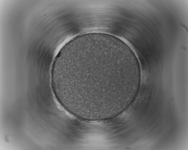 X0000102461341200809051301