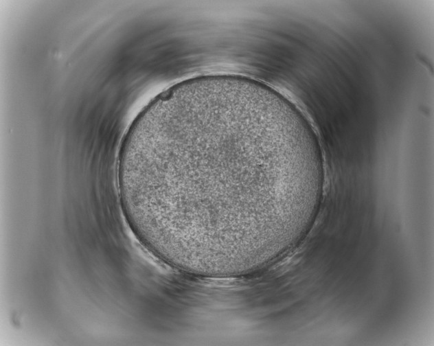 X0000102461342200809051301