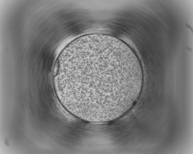 X0000102461344200809051301