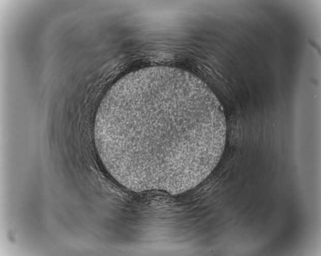 X0000102461345200809051300
