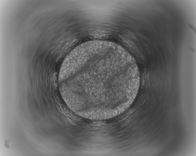 X0000102461346200809051300