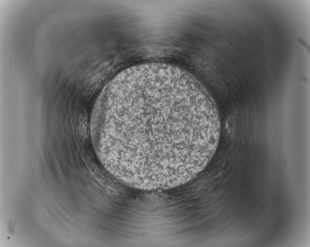 X0000102461348200809051300