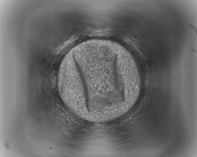 X0000102461350200809051300
