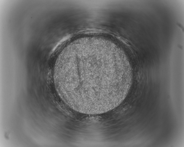 X0000102461351200809051300