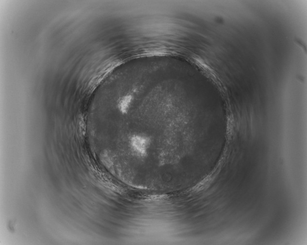 X0000102461353200809051300