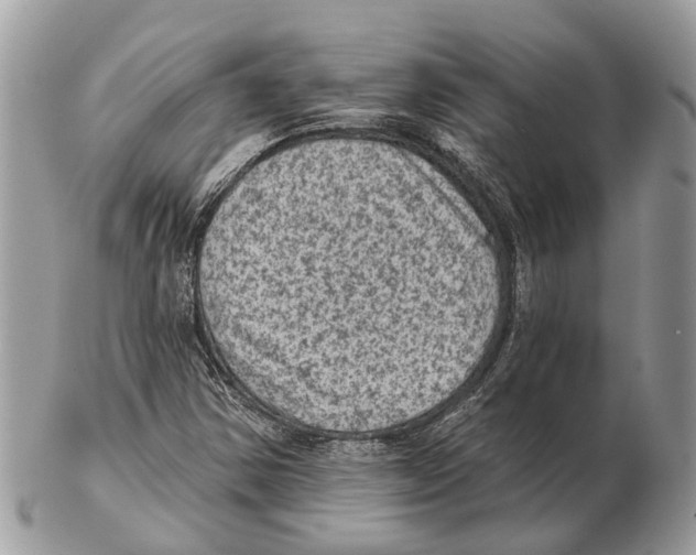 X0000102461354200809051300