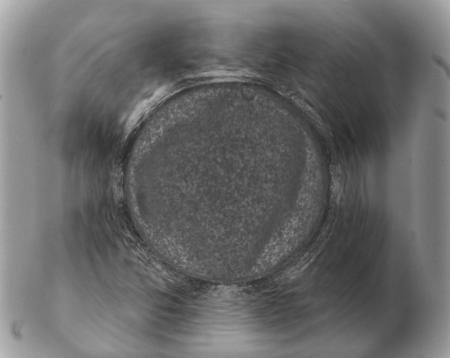 X0000102461357200809051300