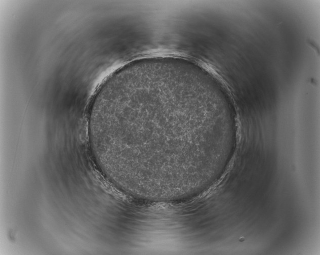 X0000102461358200809051300