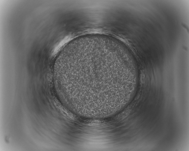 X0000102461359200809051300