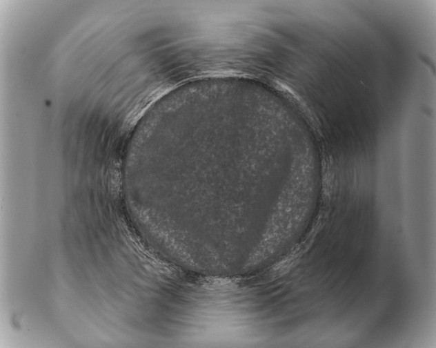 X0000102461361200809051300