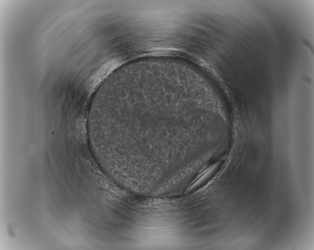 X0000102461362200809051300