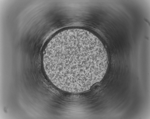 X0000102461364200809051300
