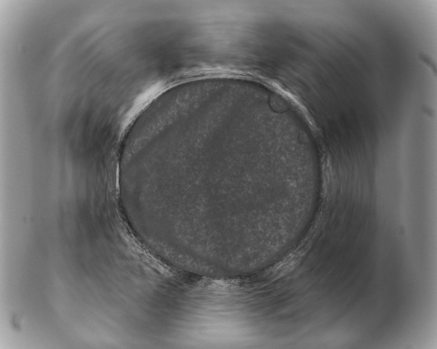 X0000102461365200809051300