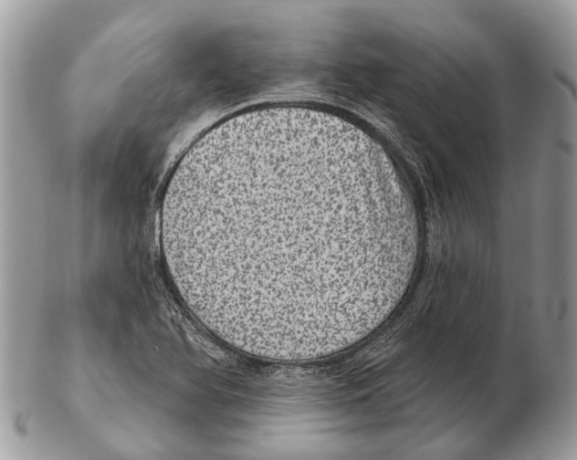 X0000102461366200809051300