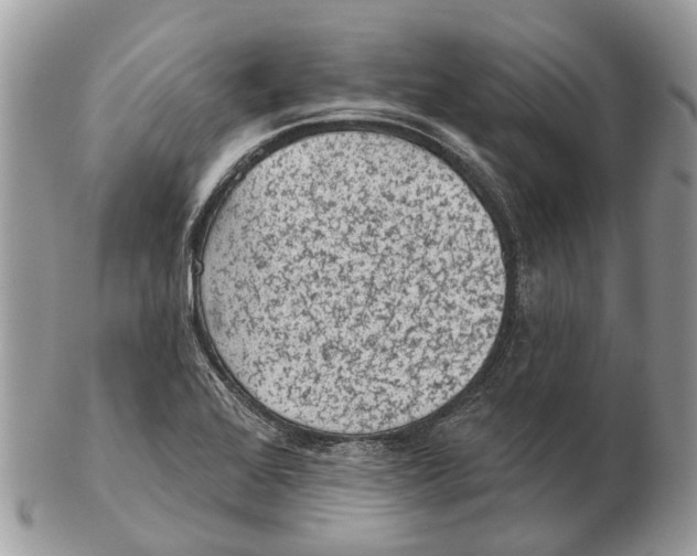 X0000102461368200809051300