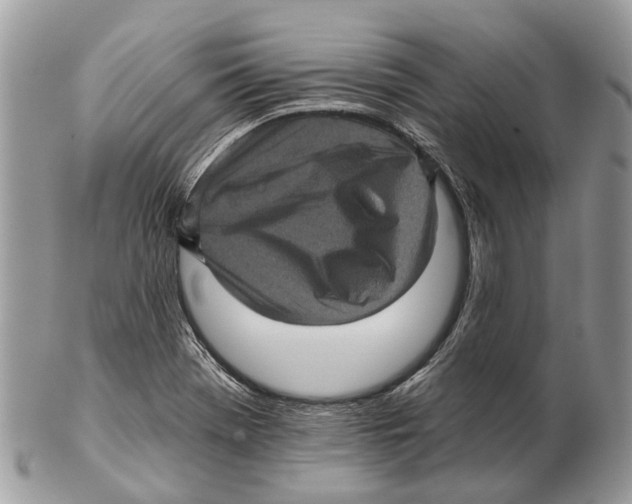 X0000102461369200809051300