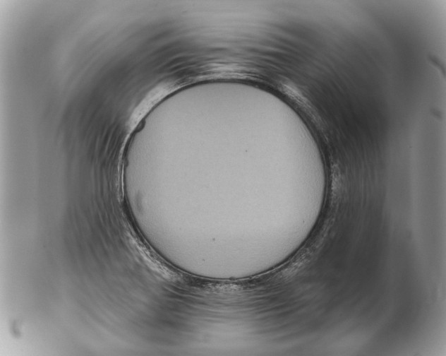 X0000102461370200809051300