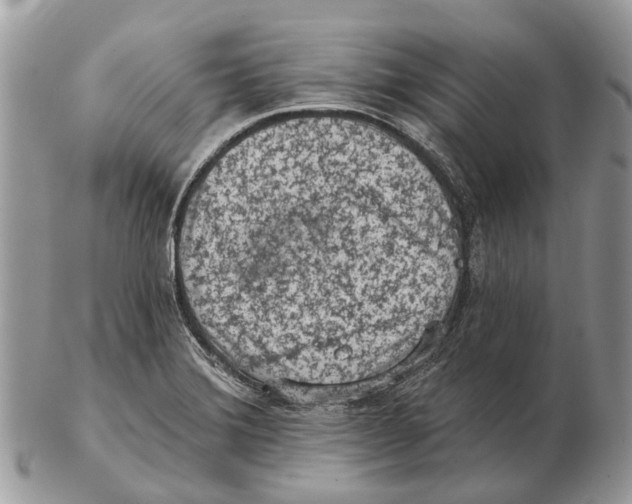 X0000102461372200809051300