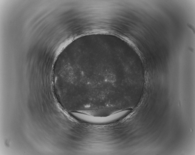 X0000102461373200809051300