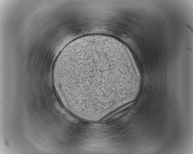 X0000102461374200809051300