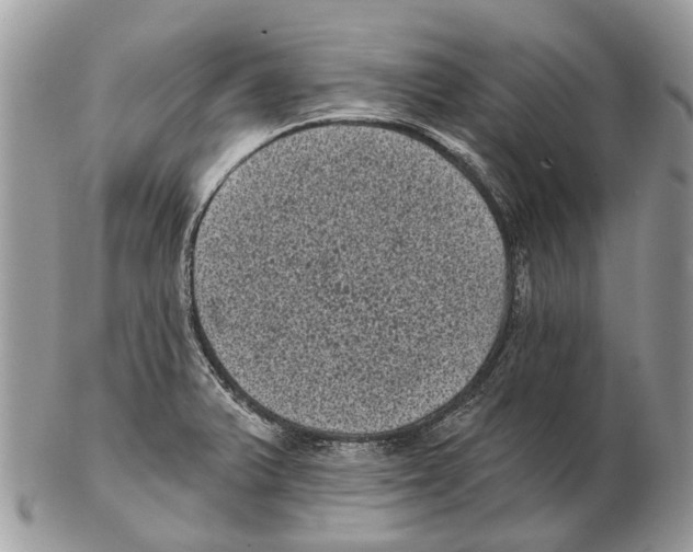 X0000102461375200809051300