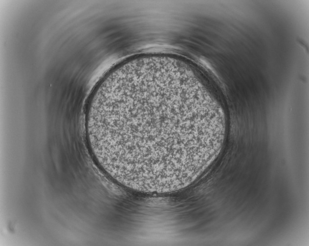 X0000102461376200809051300