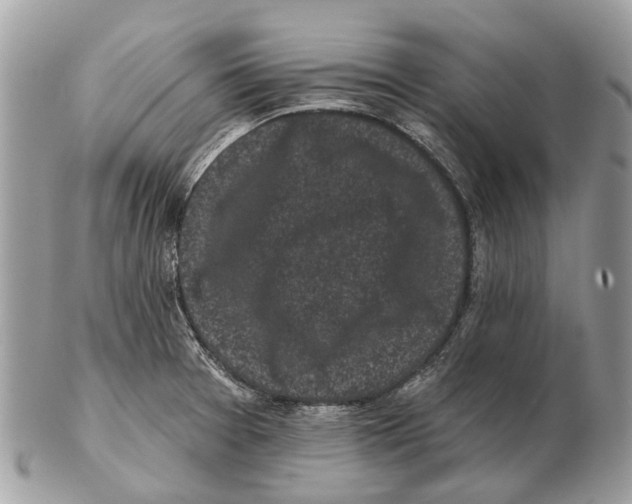X0000102461377200809051300