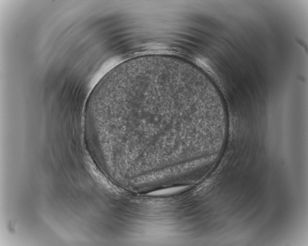 X0000102461378200809051300