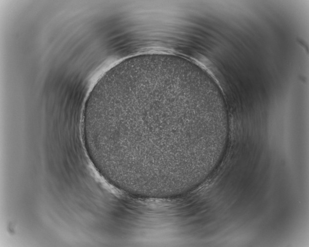 X0000102461379200809051300