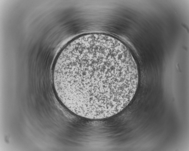 X0000102461380200809051300