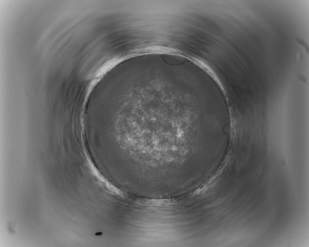 X0000102461381200809051300