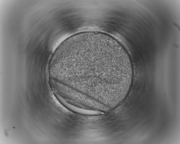 X0000102461382200809051300