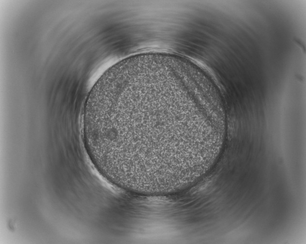 X0000102461383200809051300
