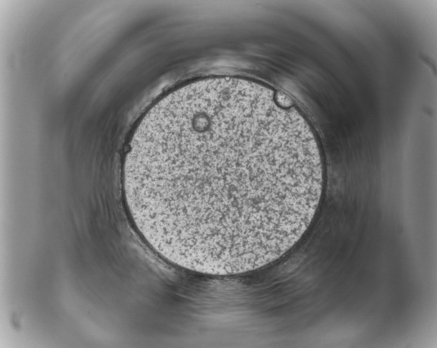 X0000102461384200809051300
