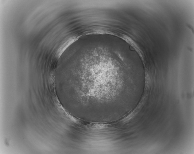 X0000102461385200809051300